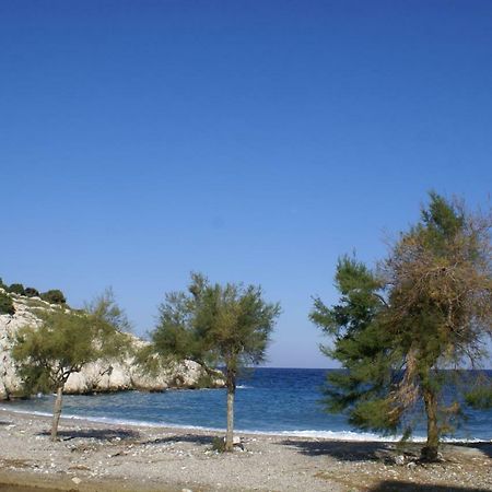 O Ioannis Βίλα Κρητηνία Εξωτερικό φωτογραφία
