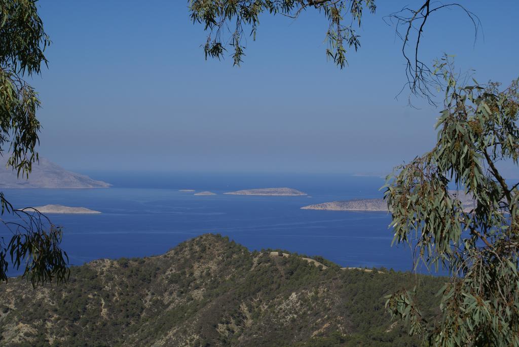 O Ioannis Βίλα Κρητηνία Εξωτερικό φωτογραφία