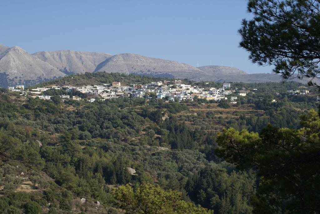 O Ioannis Βίλα Κρητηνία Εξωτερικό φωτογραφία