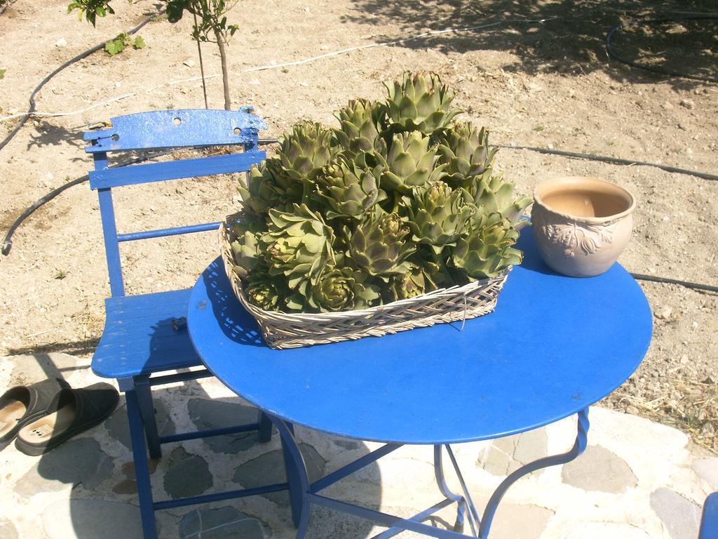 O Ioannis Βίλα Κρητηνία Εξωτερικό φωτογραφία