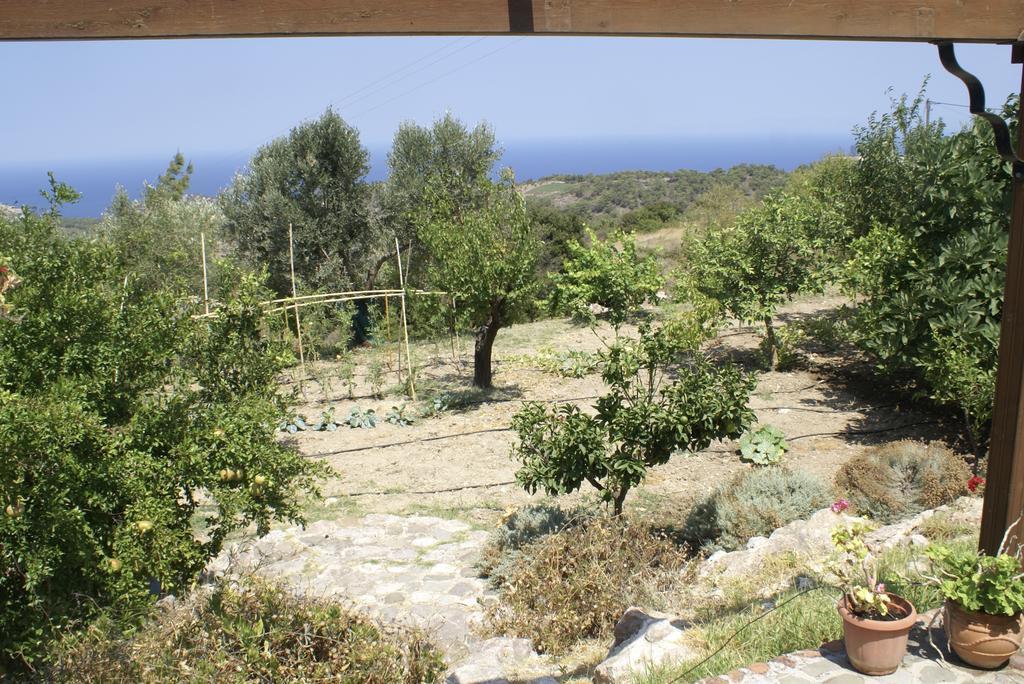 O Ioannis Βίλα Κρητηνία Εξωτερικό φωτογραφία